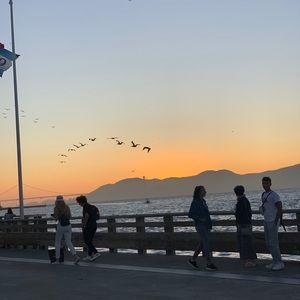 Meet your Posher, Eila